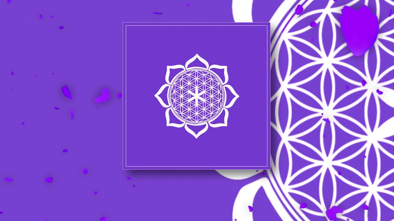 7. Freelogia - Flor da Vida. Interlúdio pt. Quadro em Branco, Raul Riul (Prod. Freitera)