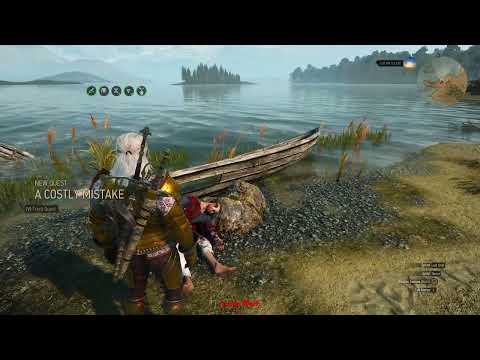 A Costly Mistake Side Quest Witcher 3 Wild Hunt #404