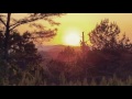 The Fields Have Turned Brown (Stanley Brothers) - Trappers Cabin (2017)