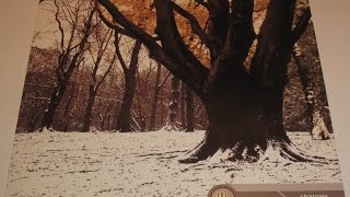 Inner State - Changes (John O'Callaghan Remix) [First Second Records] 2004