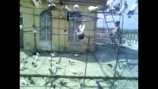 preview picture of video 'Raja Group 06 (Loft of Raja Kamran kani) Dak Chibban'