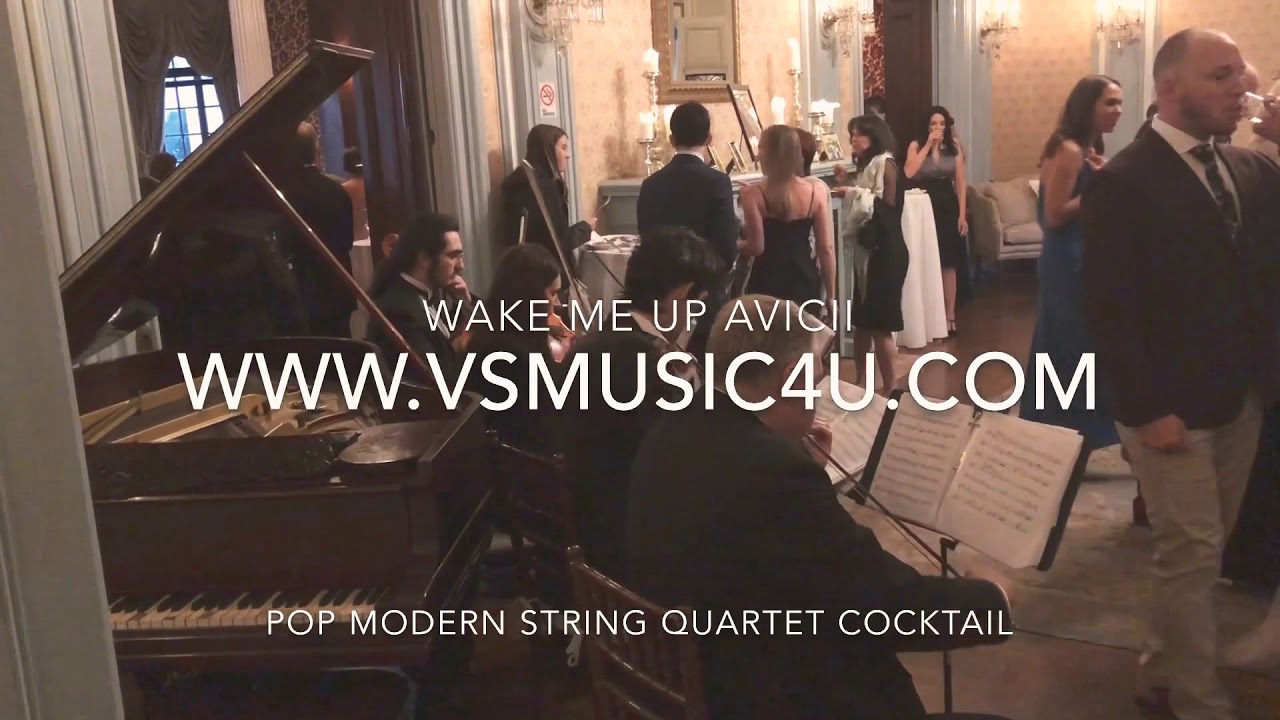 Promotional video thumbnail 67 for VSmusic4u Wedding & Event Musicians