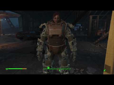 Fallout 4: Atom Cats