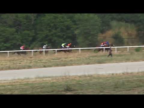 04.07.2021 - trka Count de Ios - Hipodrom Beograd