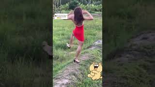 Download lagu #goyang #joget #bikini #banci #bencong mp3 Download lagu #goyang #joget #bikini #banci #bencong mp3