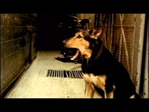 Still frame from Bostezo (Yawn) (Telecom Argentina, 2001)