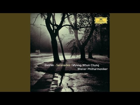 Dvořák: Serenade for Strings in E Major, Op. 22, B. 52 - I. Moderato