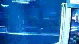 Bette Midler - Diva Las Vegas (1997)