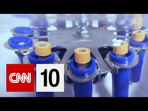 DNA検査であなたの顔がどのように見えるか予測できますか？ (Can A DNA Test Predict What Your Face Looks Like?)