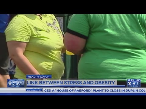 Dr. Campbell: Chronic stress linked to obesity