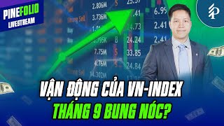 VN-Index diễn biến như thế nào trong tháng 9? | Livestream Pinefolio