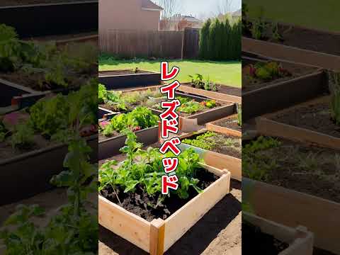 レイズドベッドの充填: これが仕組みです トピックス