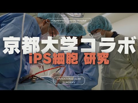 医学科 京都大学コラボ iPS細胞 心筋シート研究