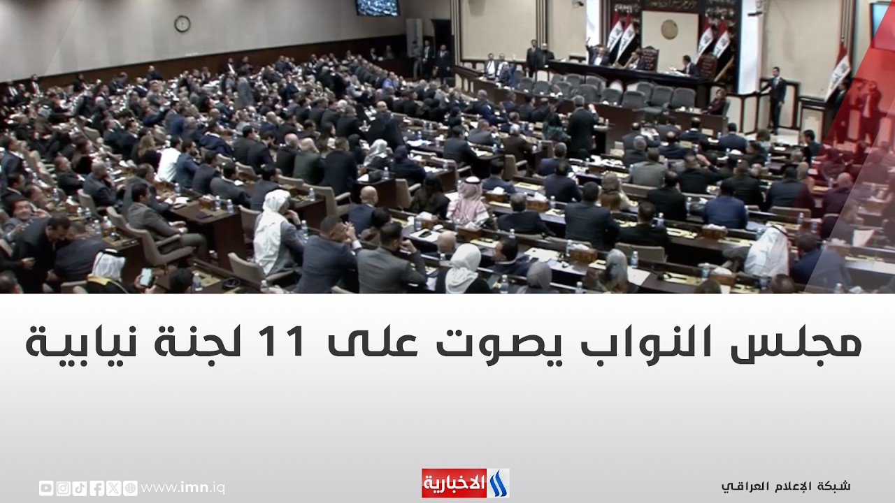 فيديو | مجلس النواب يصوت على 11 لجنة نيابية | تقرير شروق الغانم