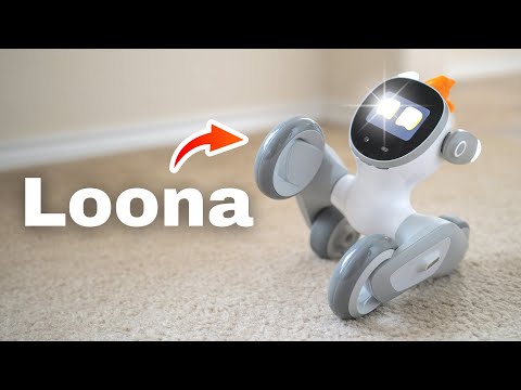 I adopted an AI Pet! - Loona Robot