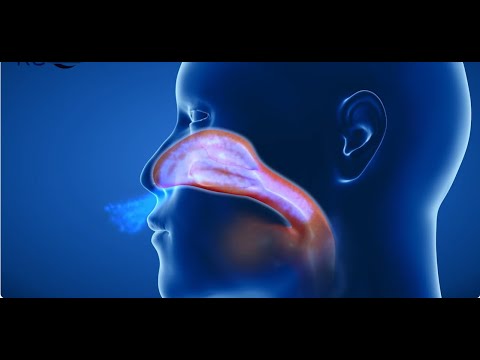 Atemtherapie bei verstopfter Nase: RC-Cornet® PLUS NASAL