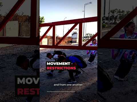 B’Tselem: Israeli settler violence aims to eliminate Palestinian existence | #AJ shorts