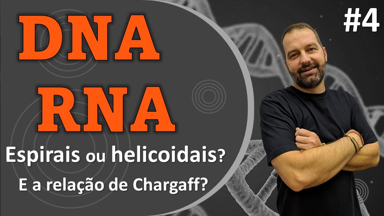 Ácidos Nucleicos - DNA e RNA - Helicoidais ou Espirais? E a Relação de Chargaff?