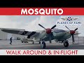 De Havilland Mosquito   |   In-Flight & Walk Around   |  Planes of Fame