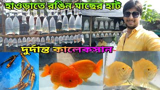 রঙিন মাছের হাট হাওড়াতে | Ankurhati Fish Pet Market | Aquarium Fish Ankurhati Pet Market | Fish