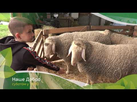 Naše dobro ep. 212 03.09.2022. NAJAVA