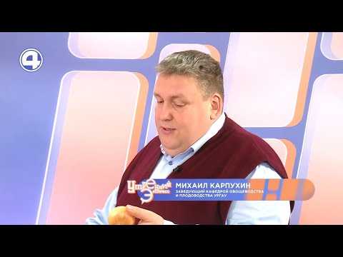 Как правильно хранить лук и чеснок зимой | Михаил Карпухин