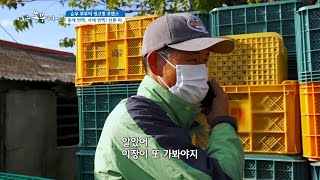 [순무 부부의 핑크빛 로맨스] 동에 번쩍, 서에 번쩍!! 남편 선춘 씨~!