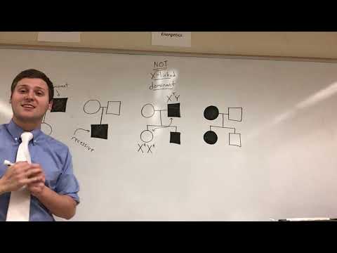 (AP Biology) Pedigree Tricks