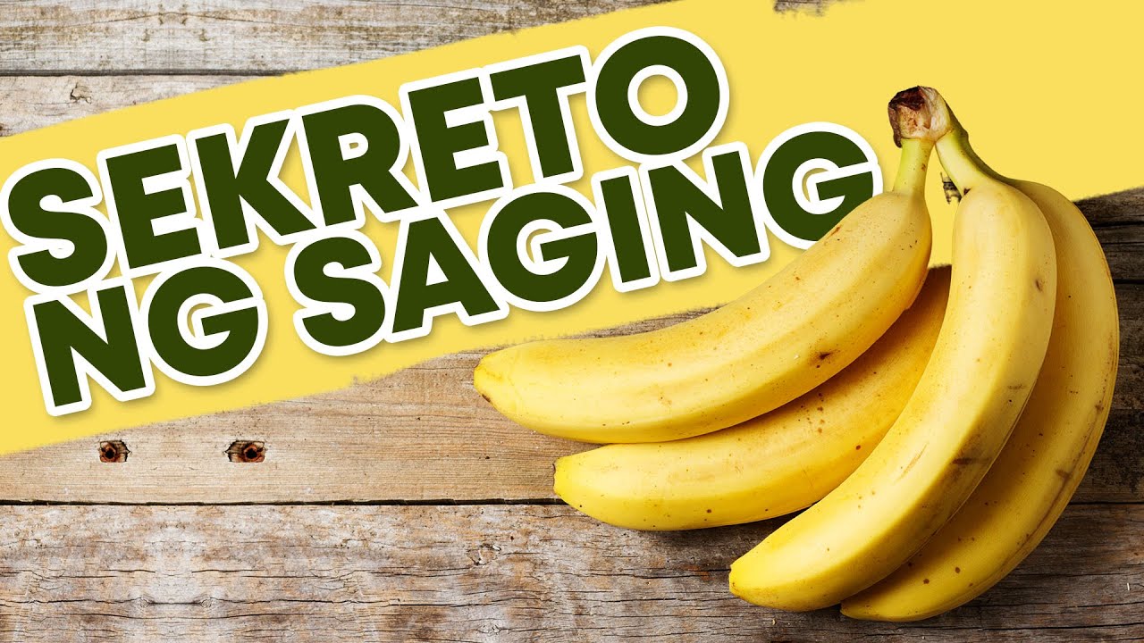 Sekreto ng Saging. Alamin ang benepisyo sa ating katawan.