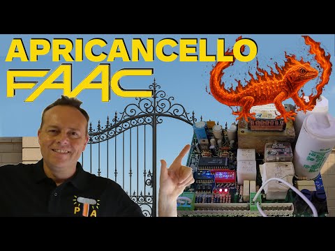 0980: FAAC MP-401 GATE OPENER WITH BURNT GEKO