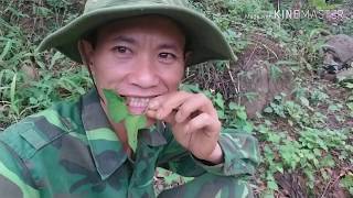 preview picture of video 'Hành trình đi đào đá đỏ tập 9(phần hai)ăn rau rừng chống đói'