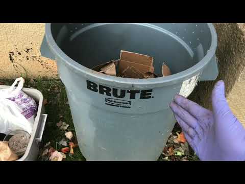 Over-Wintering Worms Outdoors: My 1 Year YouTube Anniversary NEW Project