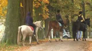 preview picture of video 'Herbststimmung am Ponyhof Schulze Schleithoff im Münsterland'