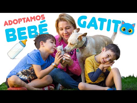 ADOPTAMOS un GATITO ¡¡CALLEJERO!! Nueva MASCOTA en la FAMILIA
