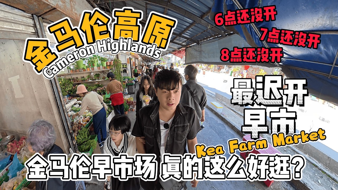 金马伦高原 最迟开的早市场 真的这么好逛？6人自驾去金马伦 真实花费+行程全记录