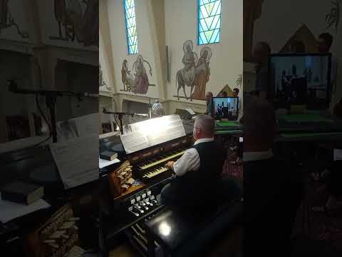 Johann Gottfried Walther: Concerto del Signr. Giuseppe Meck appropriato all' organo  - I. Allegro