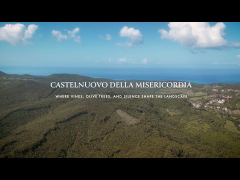 Anteprima video