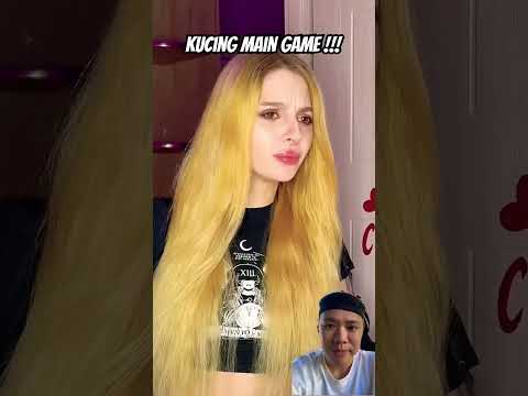 Kucing main game #cat #hiding #funny #comedy #funnycats #pets #cats #catlover