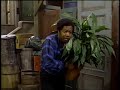 2143 David The Potted Plant