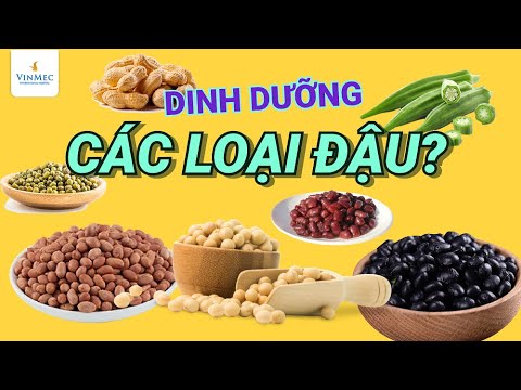 , title : 'Giá trị dinh dưỡng của các loại đậu'