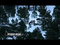 Montana Public Land Elk Hunt