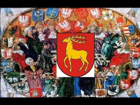 SEJM WALNY TV - 2020.06.24 - PARCZEW - XV SESJA - II POSIEDZENIE