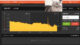 【FX】1万円から始める為替取引【BO】45