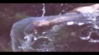 Flotation Toy Warning - Popstar Researching Oblivion