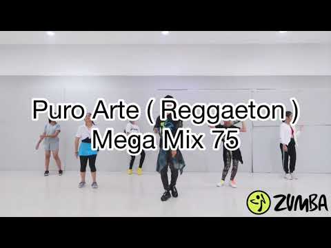🎶 Puro Arte - ( reggaeton ) | ZUMBA | DANCE FITNESS