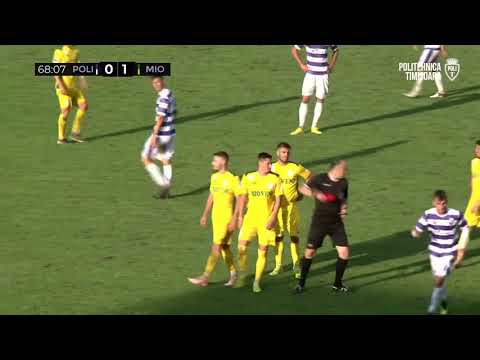 Rezumat, Politehnica-Mioveni