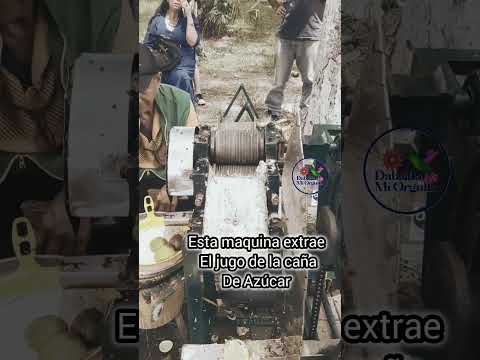 una maquina para sacar el jugo de caña #Azúcar                                #Dabeiba #antioquia