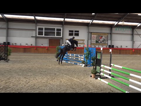 Akando v. Askari -Askanier, DSP Hengst, * 2018