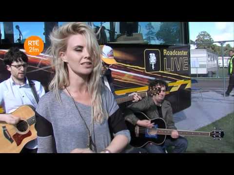 Electric Picnic 2011 - The Danger Is