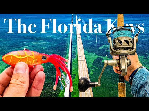 My MOST EPIC Florida Keys BRIDGE CATCH! (multi species fishing 7 mile bridge!)